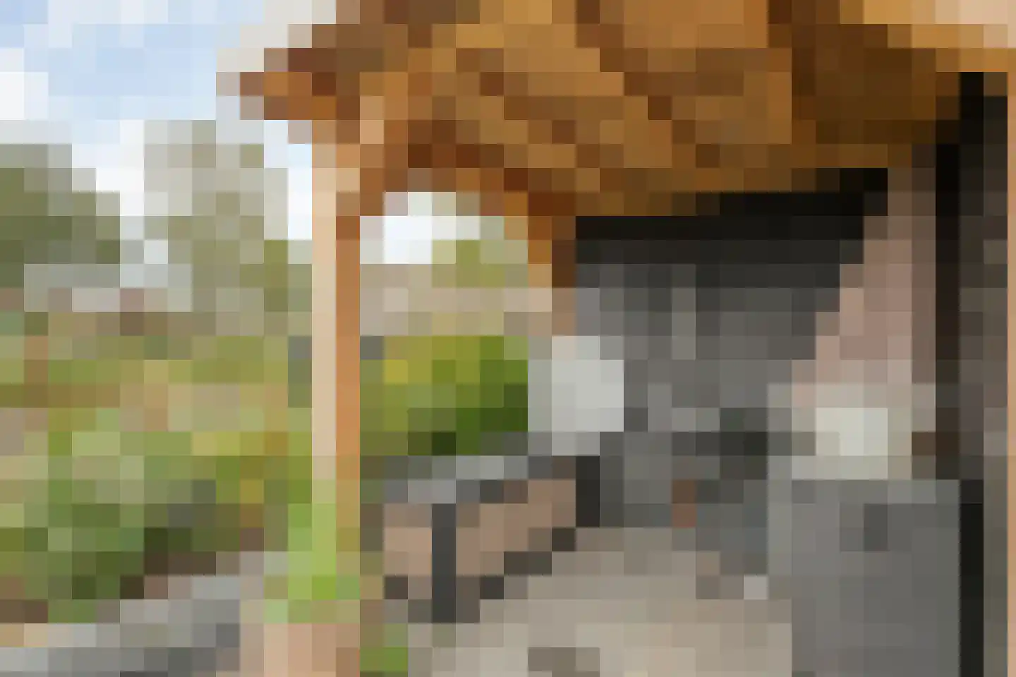De Zende 44 Hoogeveen thumbnail 32
