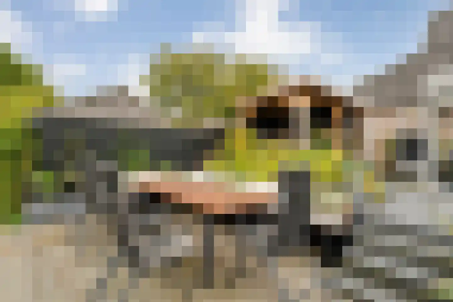 De Zende 44 Hoogeveen thumbnail 34