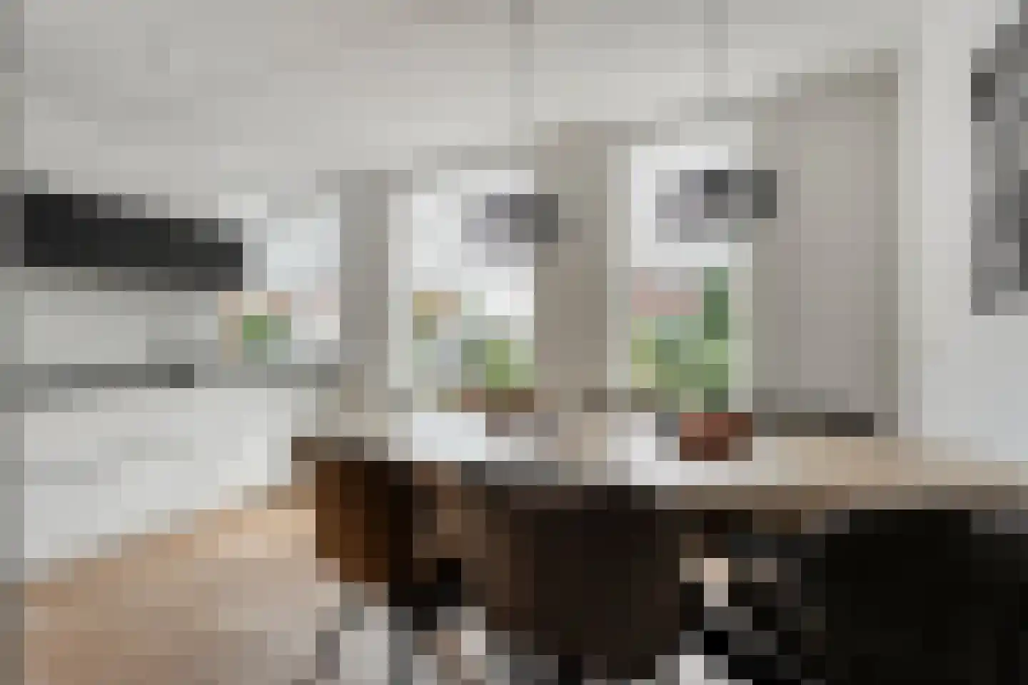 De Zende 44 Hoogeveen thumbnail 5