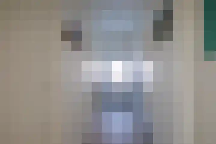 De Zes 11 Den Burg thumbnail 11