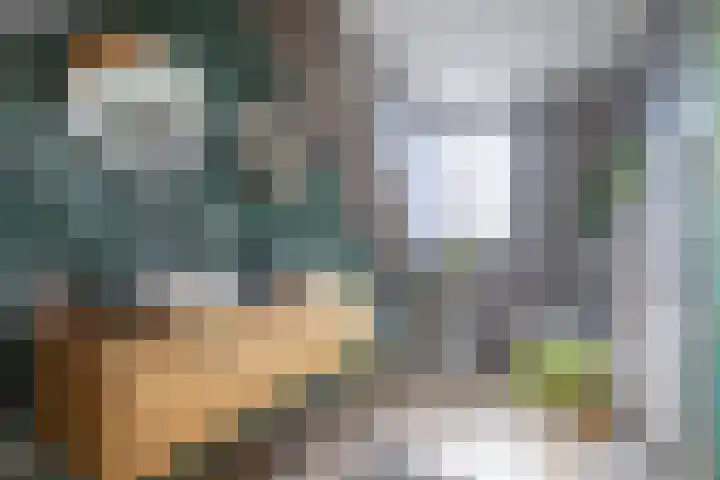 De Zes 11 Den Burg thumbnail 16