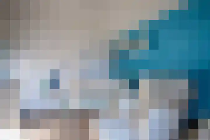De Zes 11 Den Burg thumbnail 21