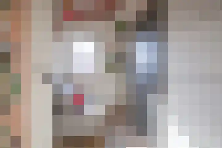 De Zes 11 Den Burg thumbnail 22