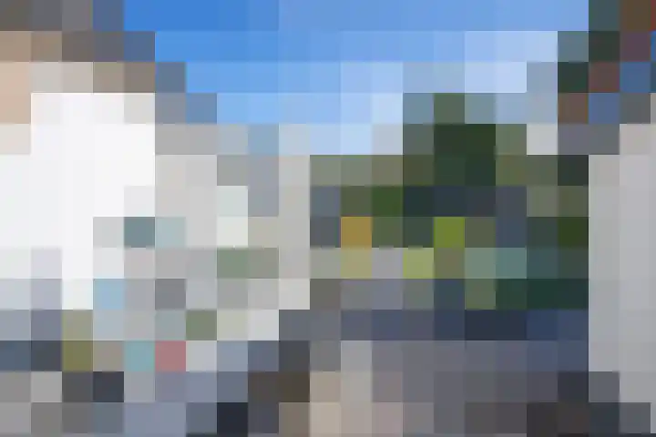 De Zes 11 Den Burg thumbnail 29