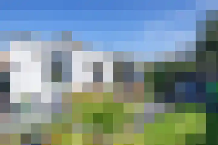 De Zes 11 Den Burg thumbnail 30