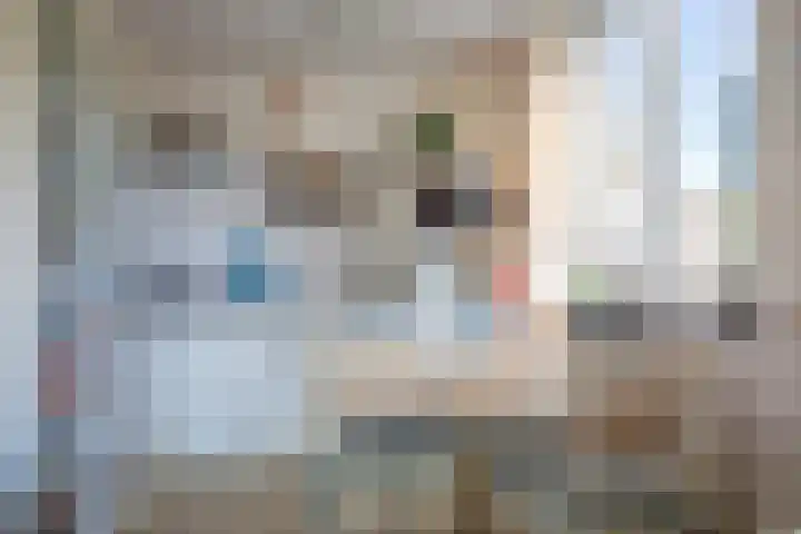 De Zes 11 Den Burg thumbnail 33
