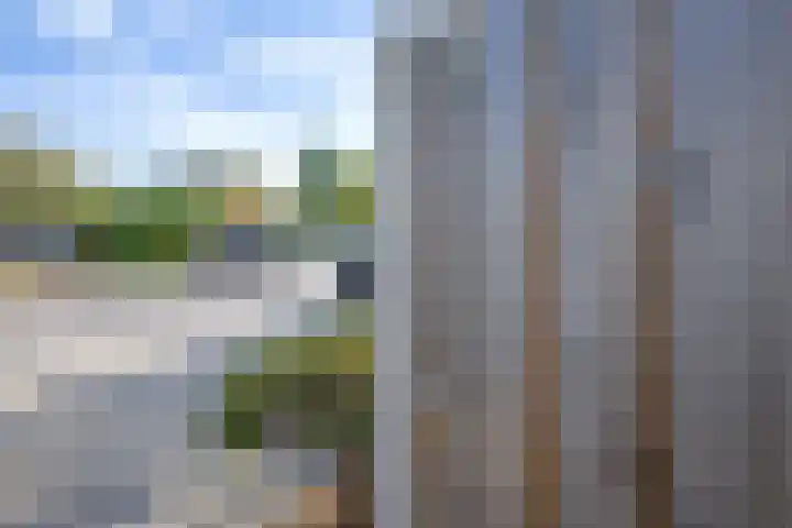 De Zes 11 Den Burg thumbnail 40