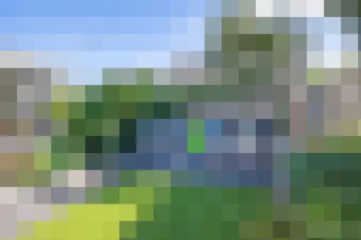 De Zes 11 Den Burg thumbnail 41