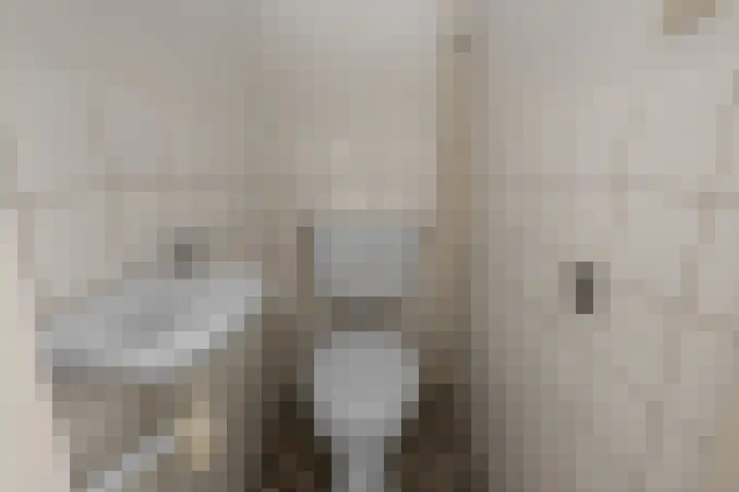 De Zetter 13 Wormerveer thumbnail 19