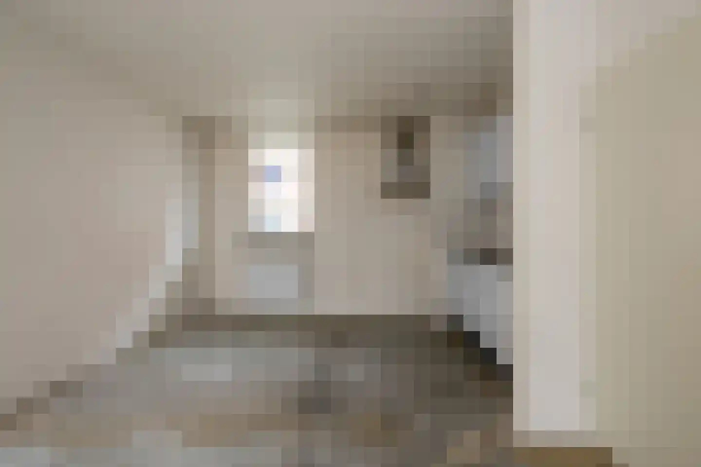 De Zetter 13 Wormerveer thumbnail 4