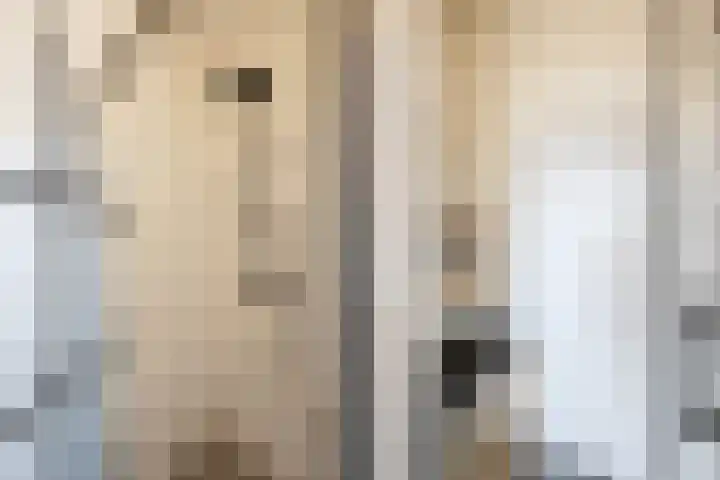 De Zetter 18 Wormerveer thumbnail 10