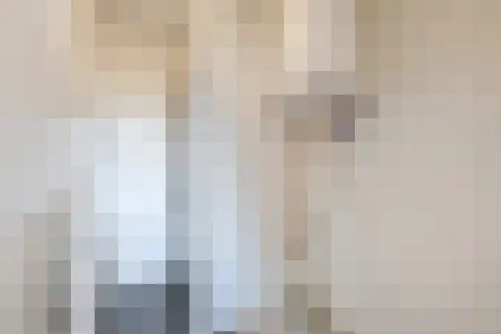 De Zetter 18 Wormerveer thumbnail 11