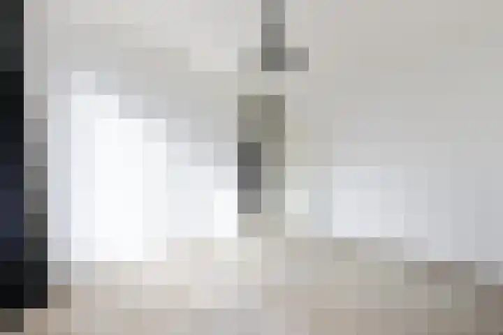 De Zetter 18 Wormerveer thumbnail 19