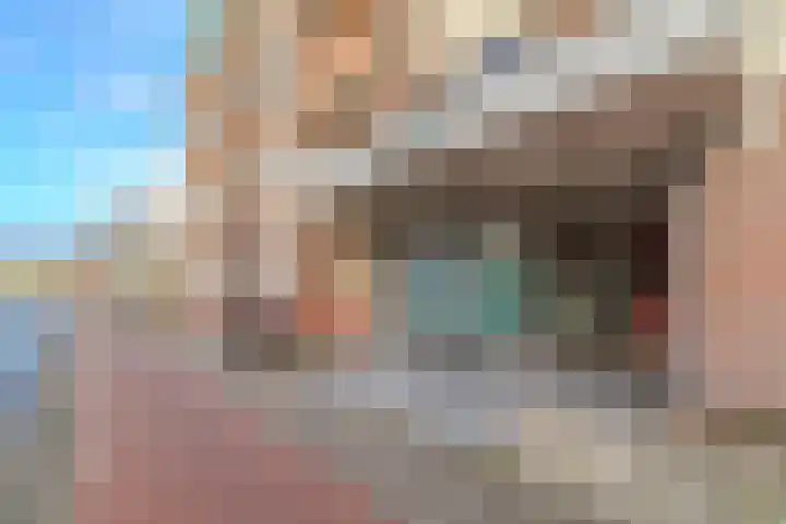 De Zetter 18 Wormerveer thumbnail 20