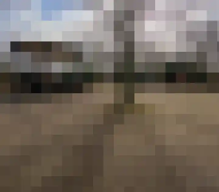 De Zetter 18 Wormerveer thumbnail 28