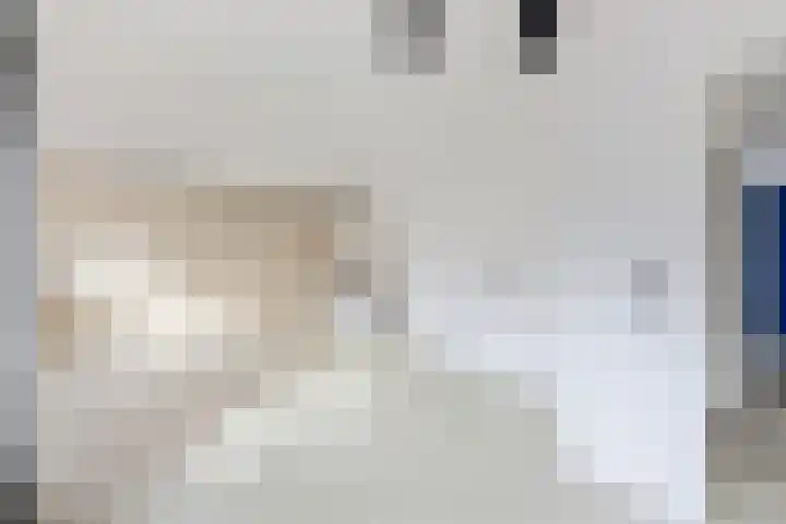 De Zetter 18 Wormerveer thumbnail 4