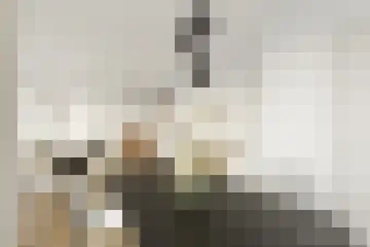 De Zetter 18 Wormerveer thumbnail 5