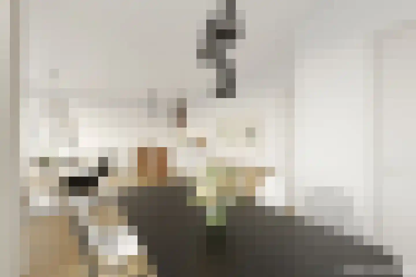 De Zetter 18 Wormerveer thumbnail 5