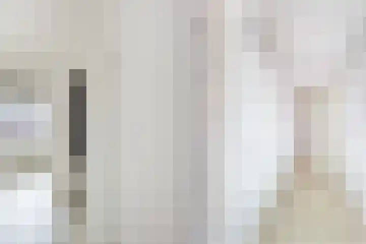 De Zetter 18 Wormerveer thumbnail 9