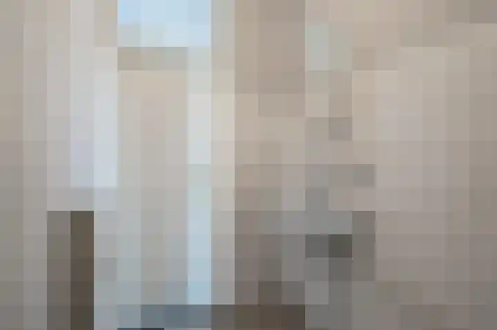 De Zetter 23 Wormerveer thumbnail 19
