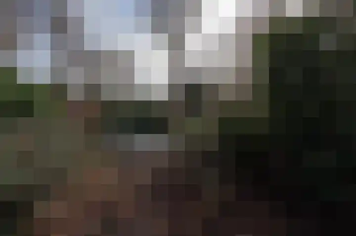 De Zetter 23 Wormerveer thumbnail 35
