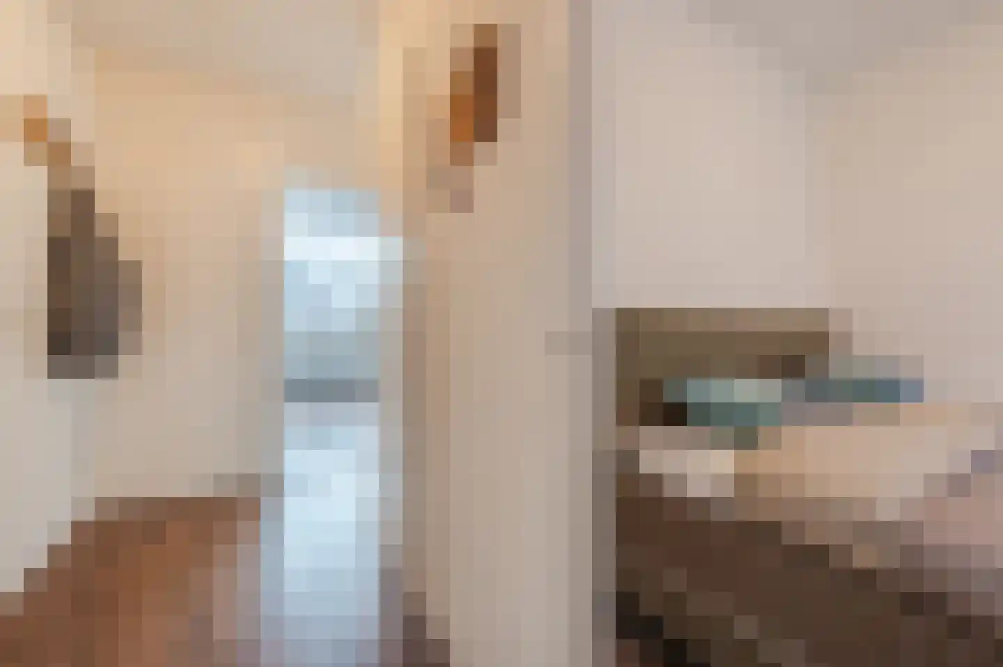 De Zetter 34 Wormerveer thumbnail 14