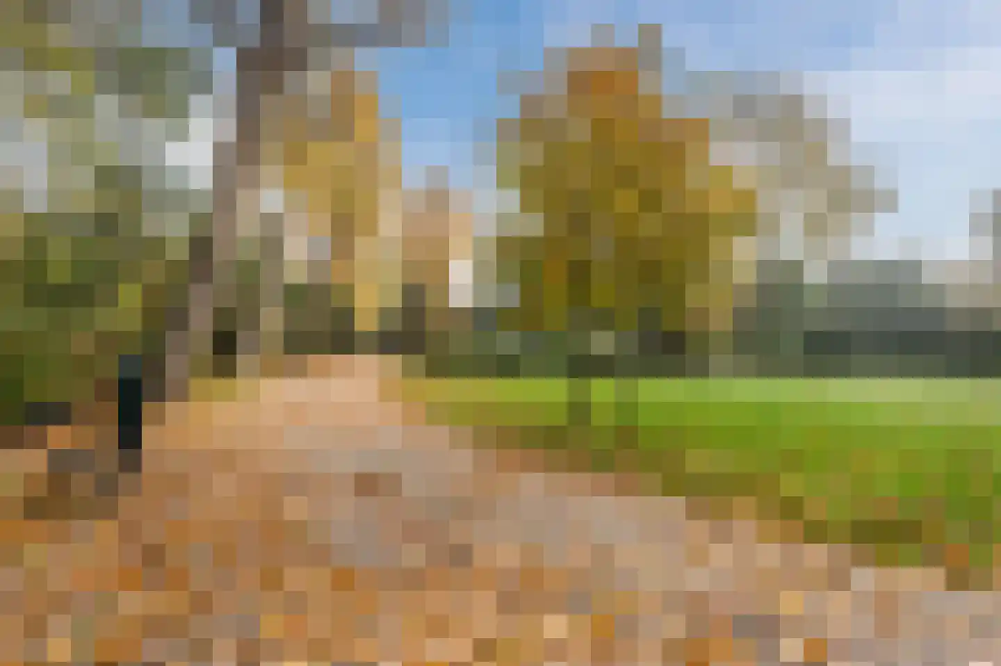De Zetter 34 Wormerveer thumbnail 27