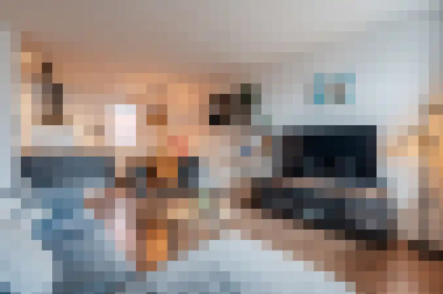 De Zetter 34 Wormerveer thumbnail 7