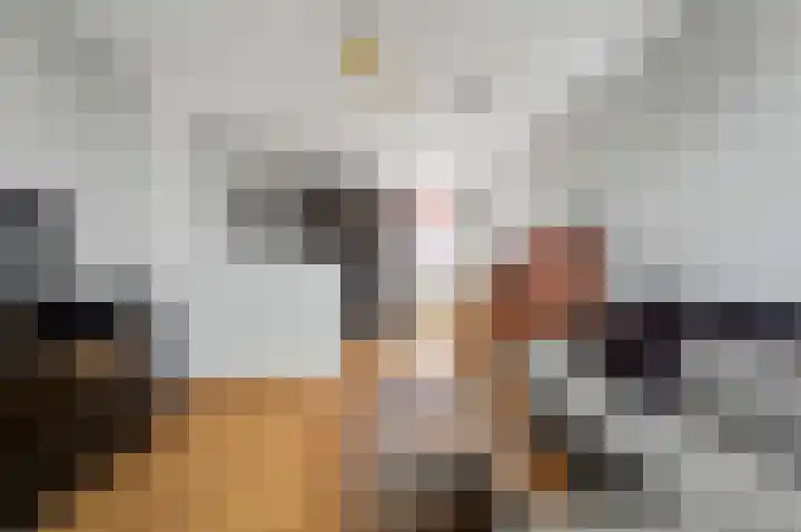 De Zetter 43 Wormerveer thumbnail 10