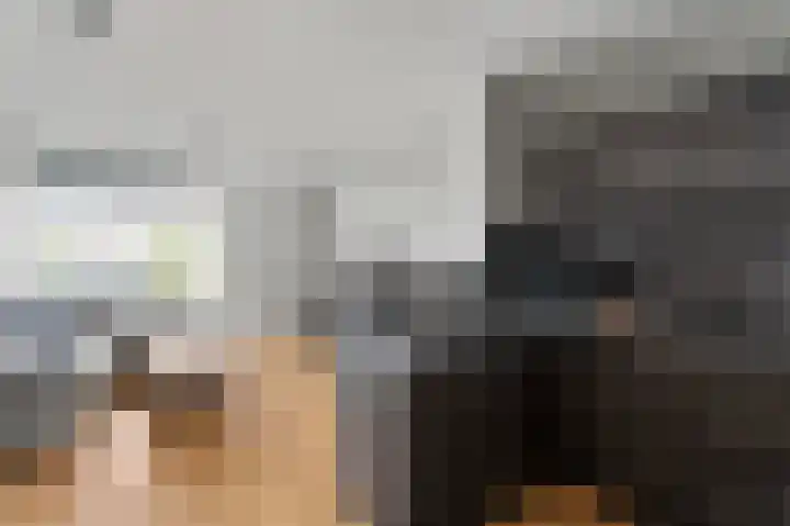 De Zetter 43 Wormerveer thumbnail 13