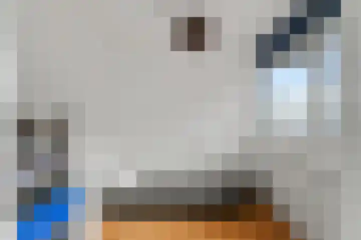 De Zetter 43 Wormerveer thumbnail 22