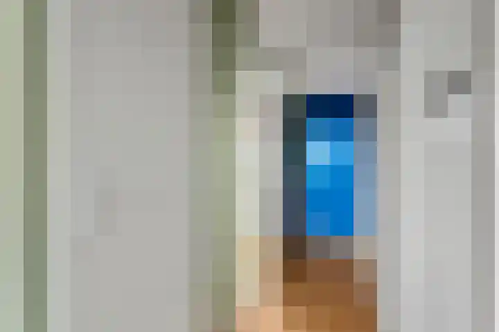 De Zetter 43 Wormerveer thumbnail 5