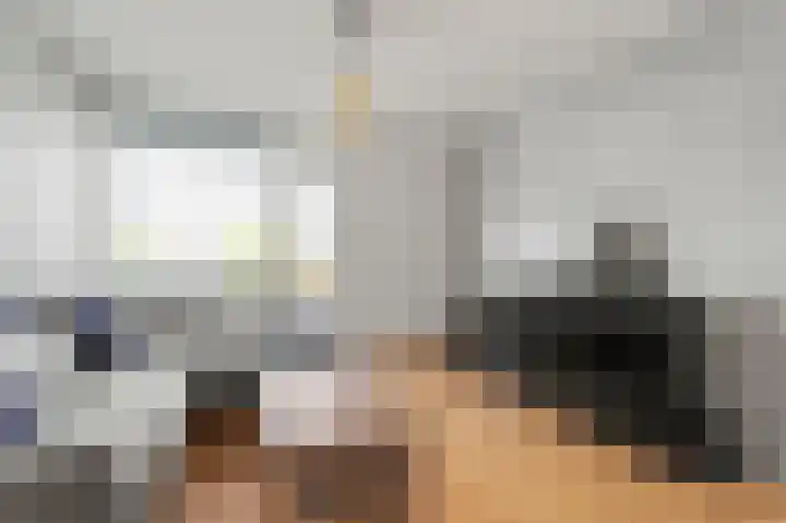 De Zetter 43 Wormerveer thumbnail 8
