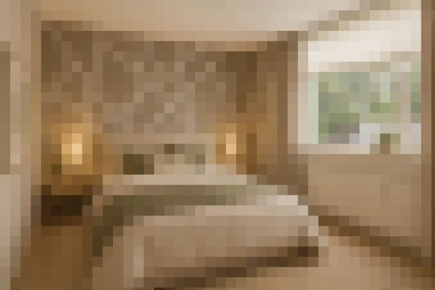 De Zetter 47 Wormerveer thumbnail 16