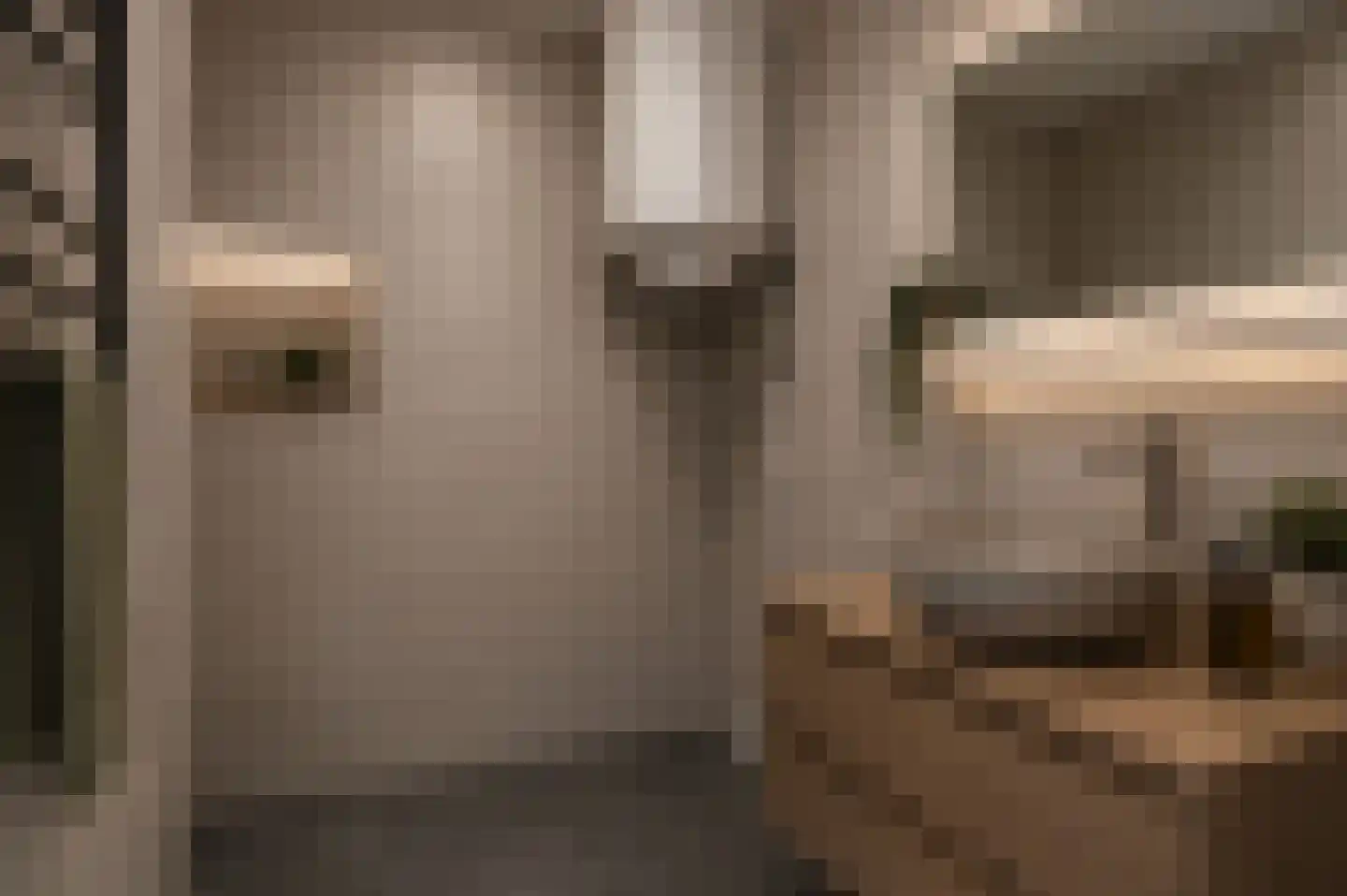 De Zetter 47 Wormerveer thumbnail 24