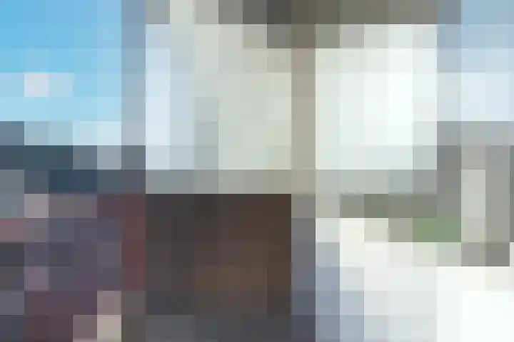 De Zetter 51 Wormerveer thumbnail 6