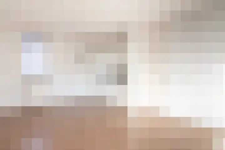 De Zetter 51 Wormerveer thumbnail 9