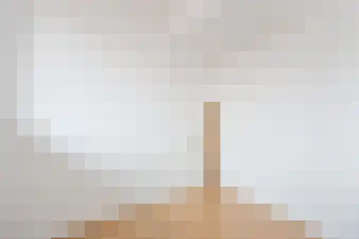 De Zetter 63 Wormerveer thumbnail 16