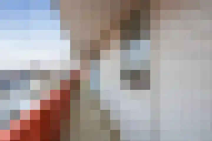 De Zetter 63 Wormerveer thumbnail 22