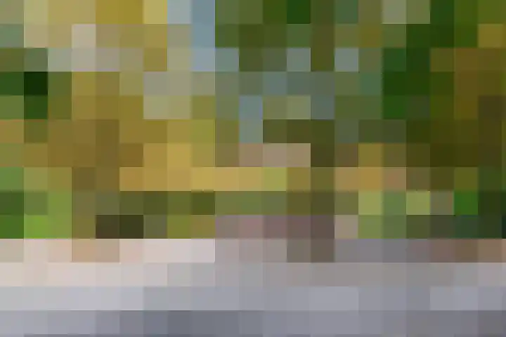 De Zetter 63 Wormerveer thumbnail 27