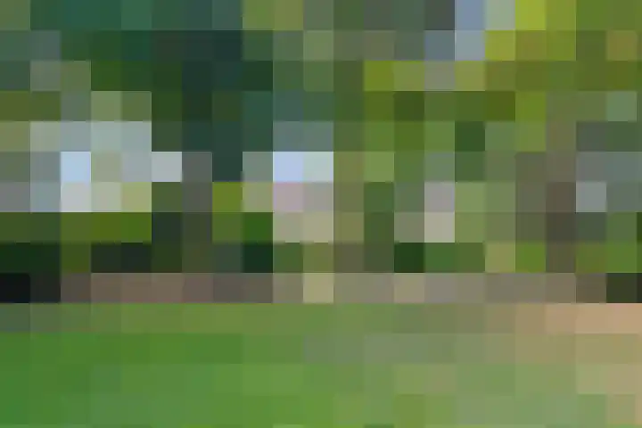 De Zetter 63 Wormerveer thumbnail 28