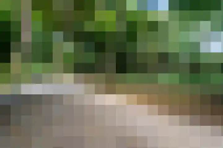 De Zetter 63 Wormerveer thumbnail 29