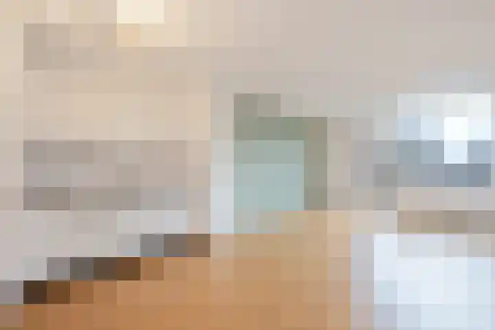De Zetter 63 Wormerveer thumbnail 5