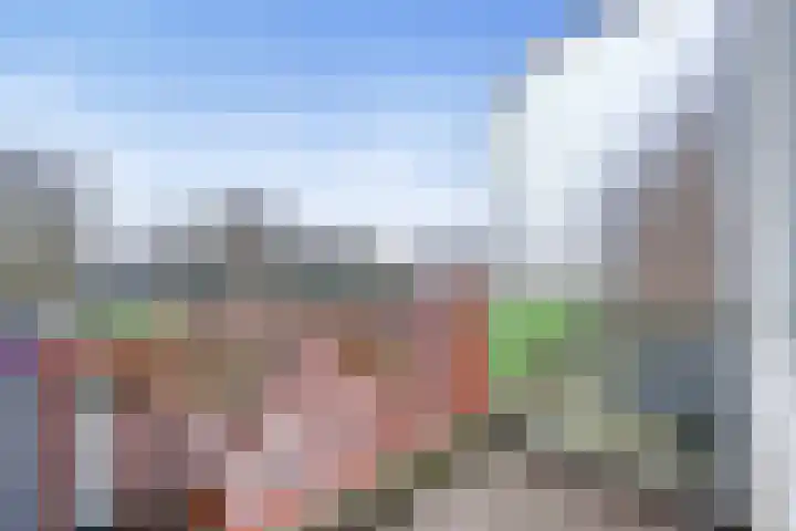 De Zetter 63 Wormerveer thumbnail 7