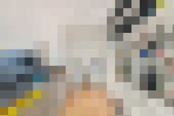 De Zetter 71 Wormerveer thumbnail 17