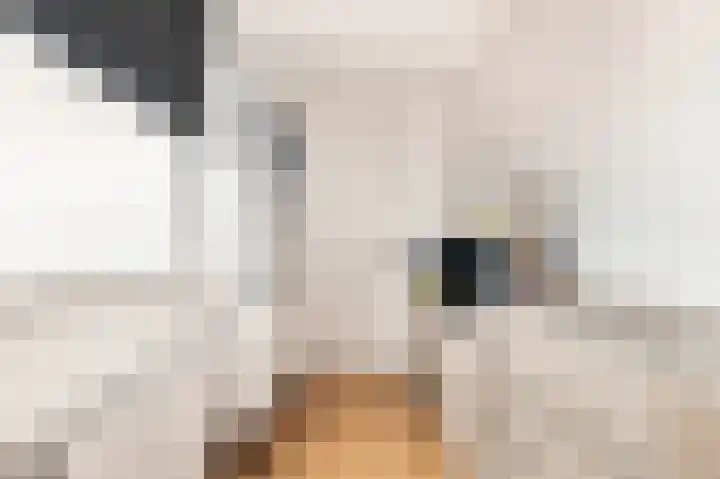 De Zetter 71 Wormerveer thumbnail 18