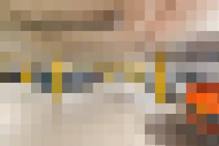 De Zetter 71 Wormerveer thumbnail 23