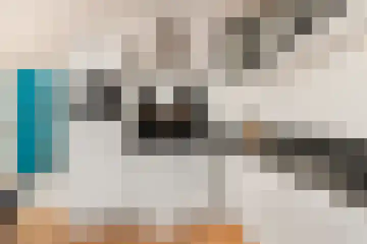 De Zetter 71 Wormerveer thumbnail 8