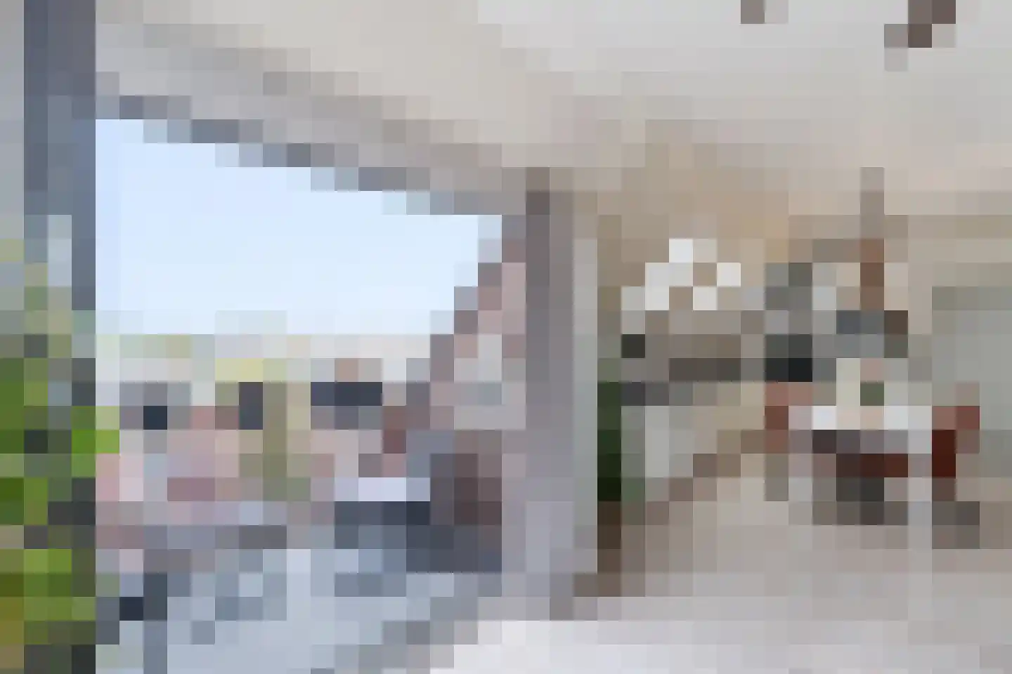 De Zetter 73 Wormerveer thumbnail 13