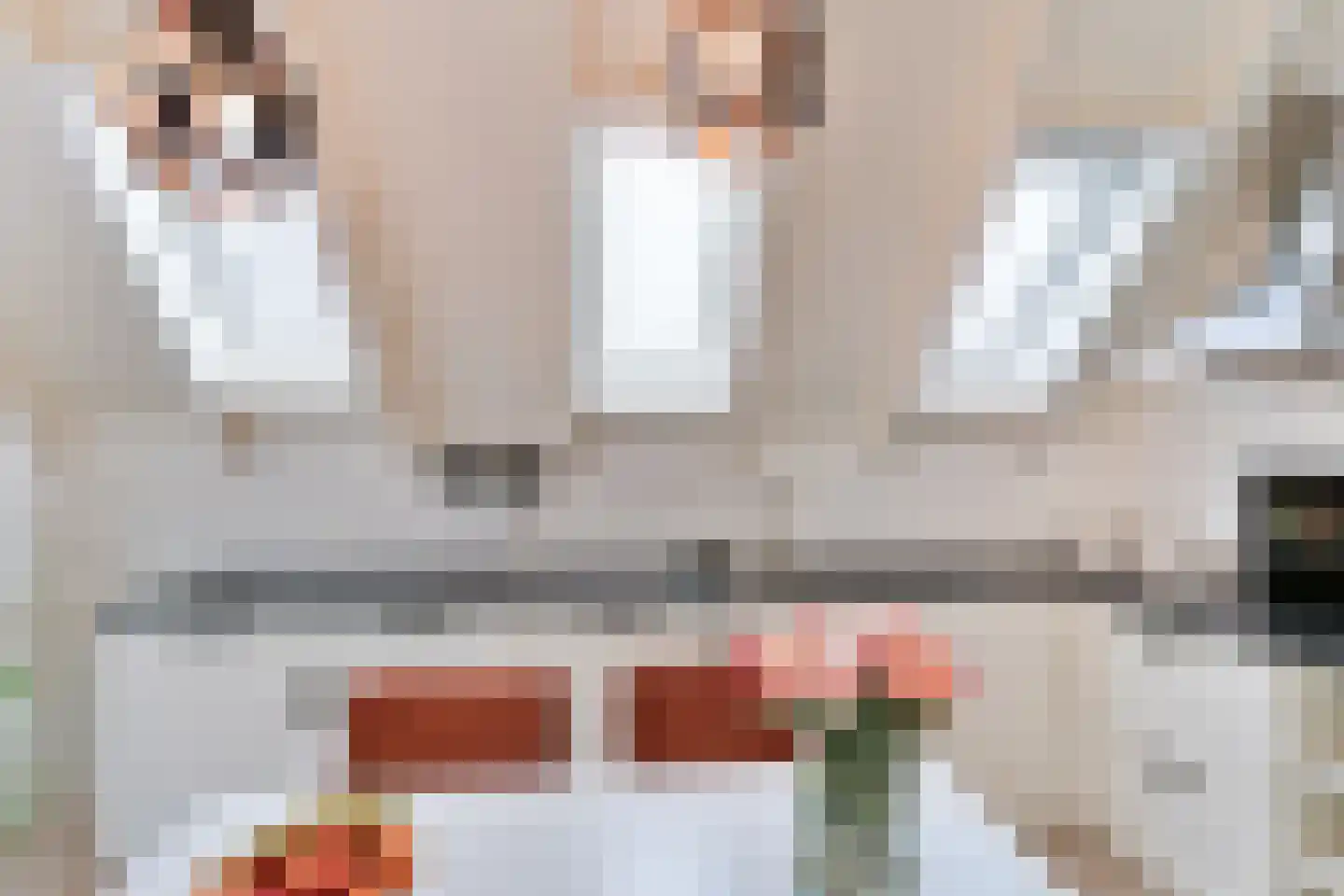 De Zetter 73 Wormerveer thumbnail 17